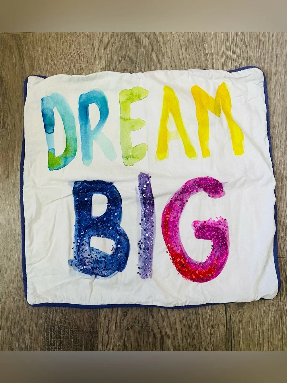 Pottery Barn Teen Pillow Case 16 x 16